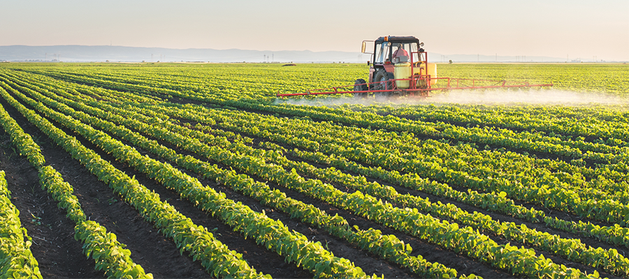 杭州新葡萄8883AMG公司年产5000吨丙草胺原药技改项目调试通告